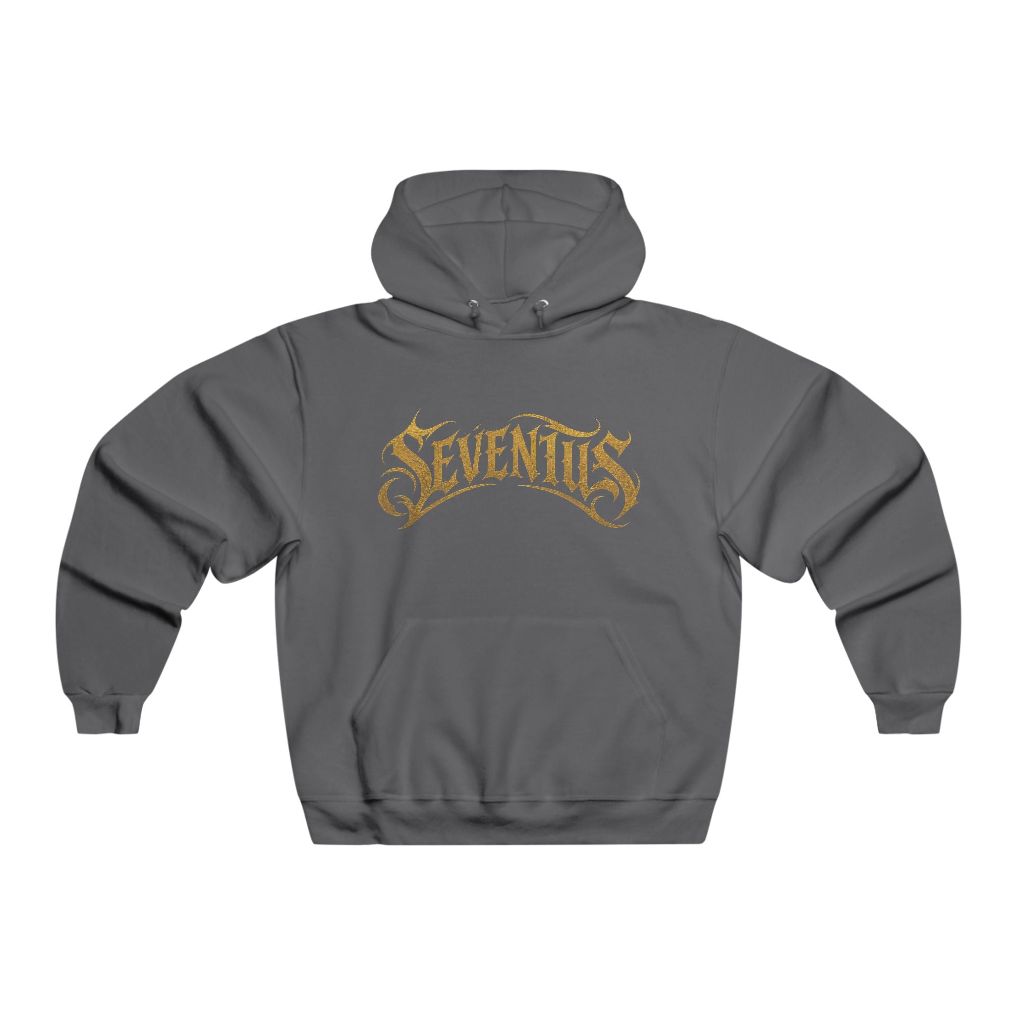 Seventus Graphic Hoodie — Flame Panther Back Print